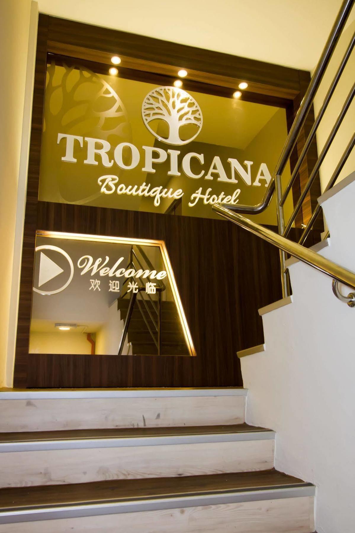 Tropicana Homestay ムアル エクステリア 写真